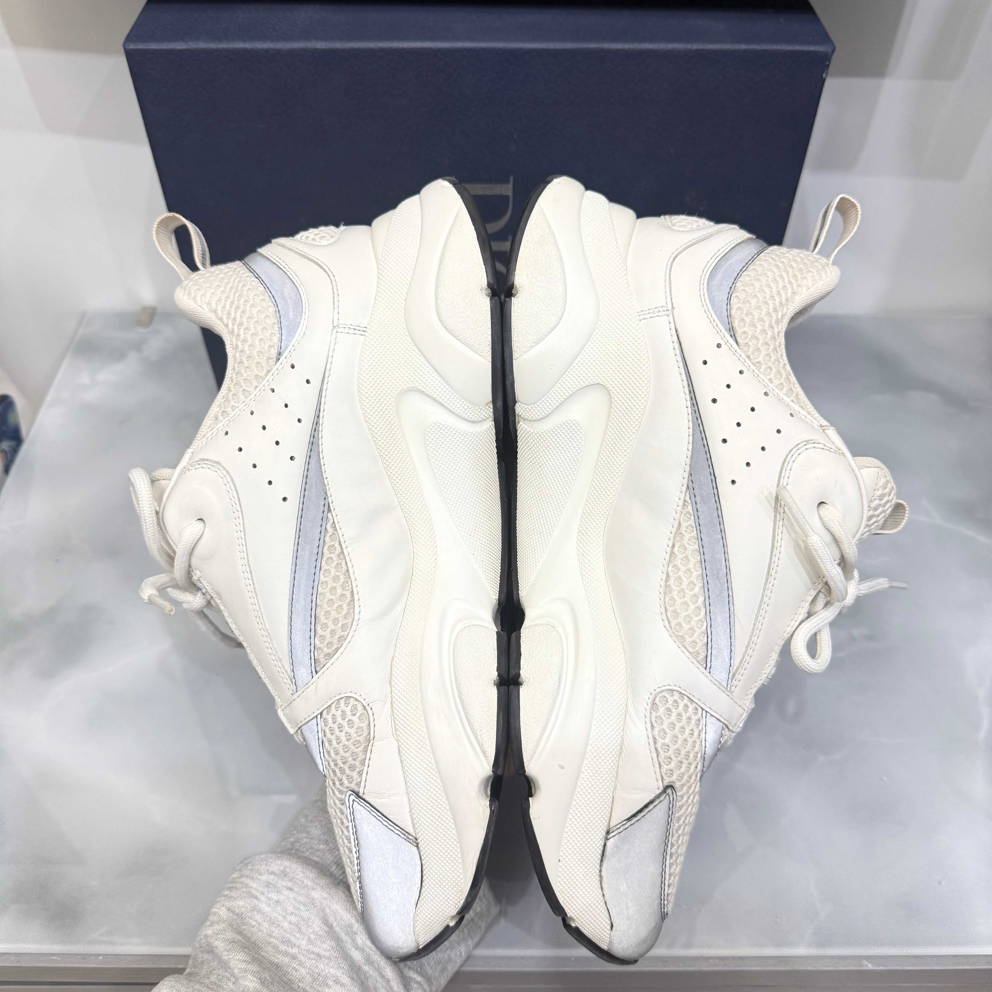 Dior B22 43