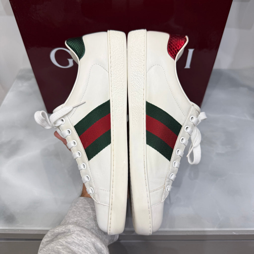 Gucci Ace 42