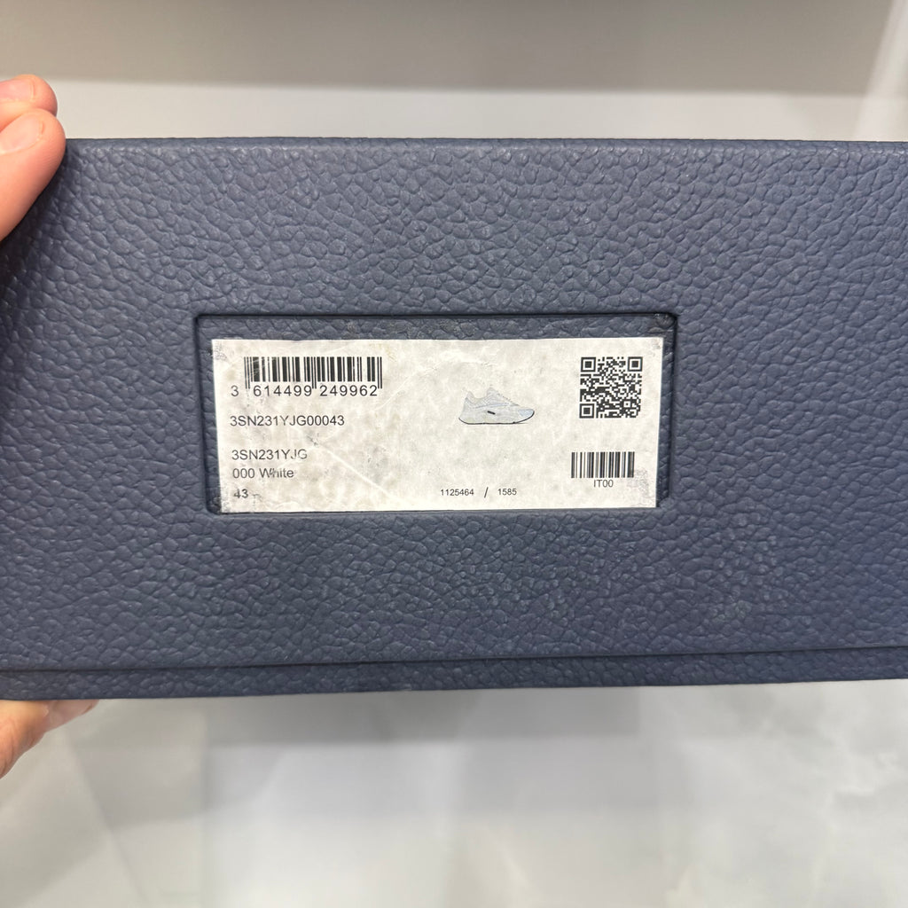 Dior B22 43