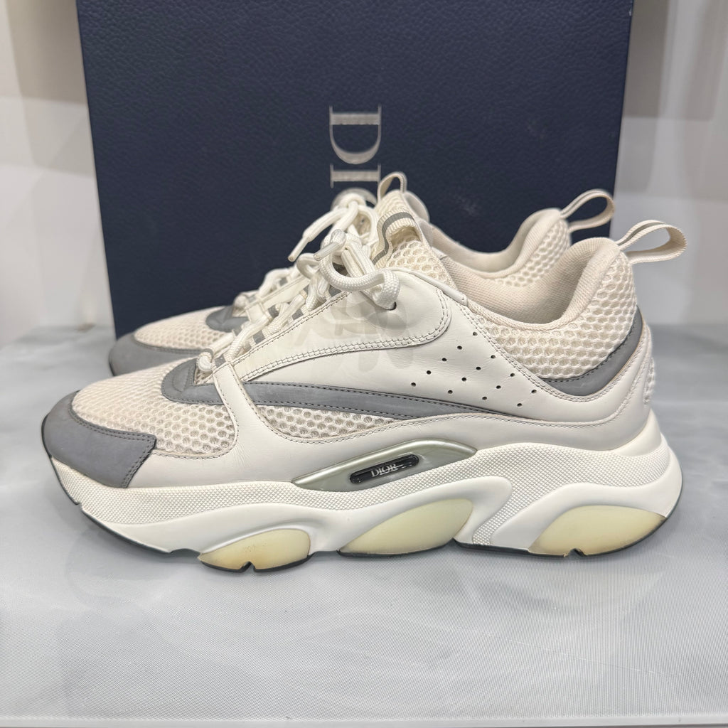 Dior B22 43