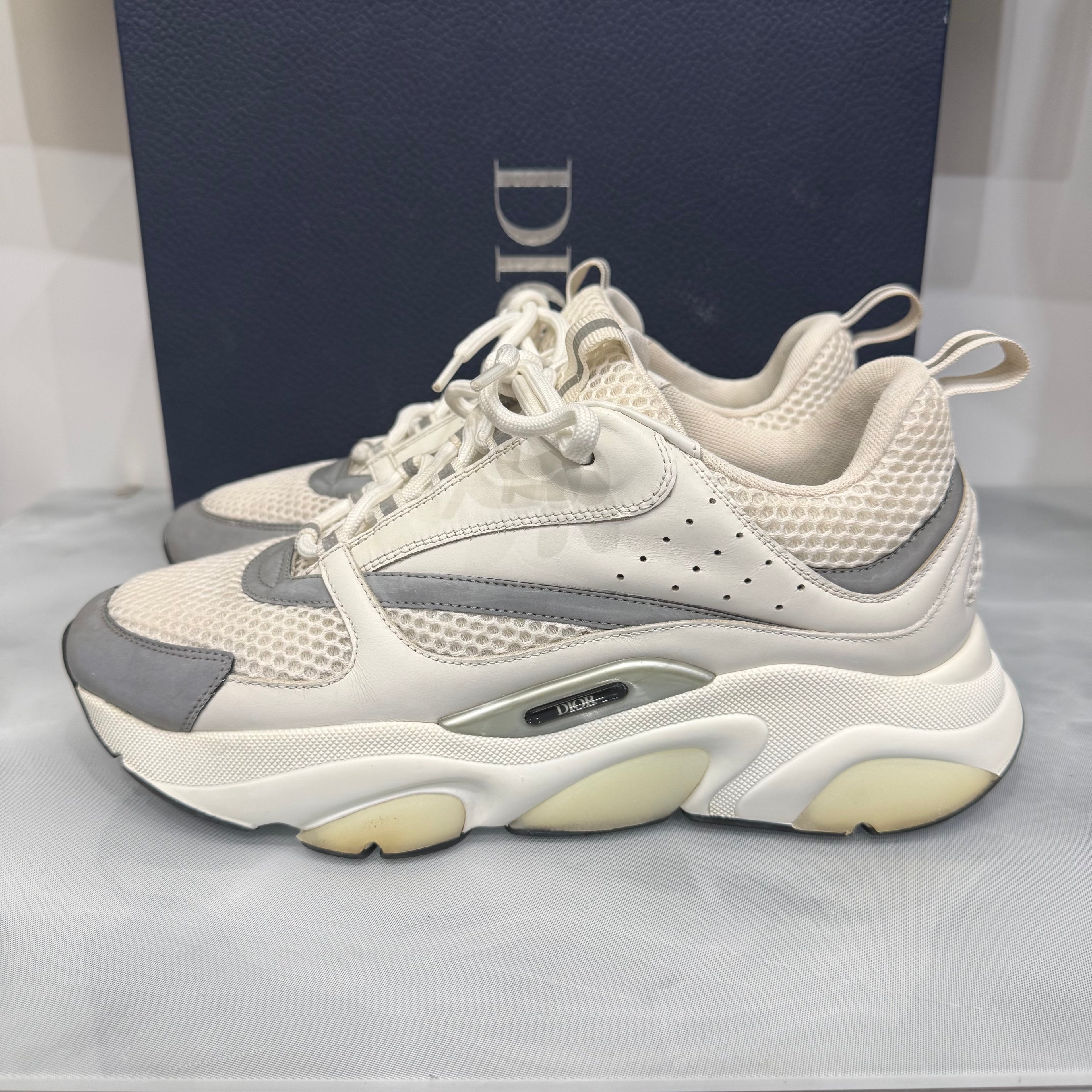 Dior B22 43