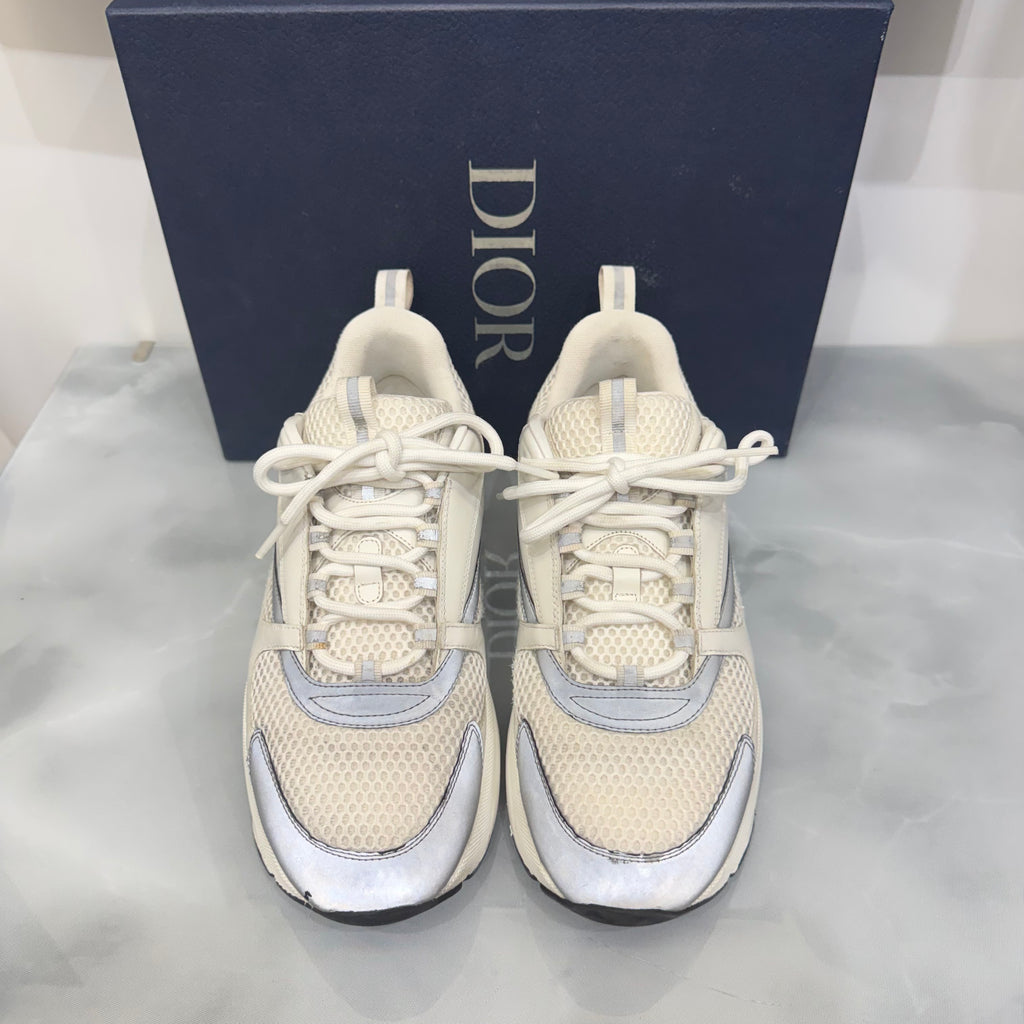 Dior B22 43