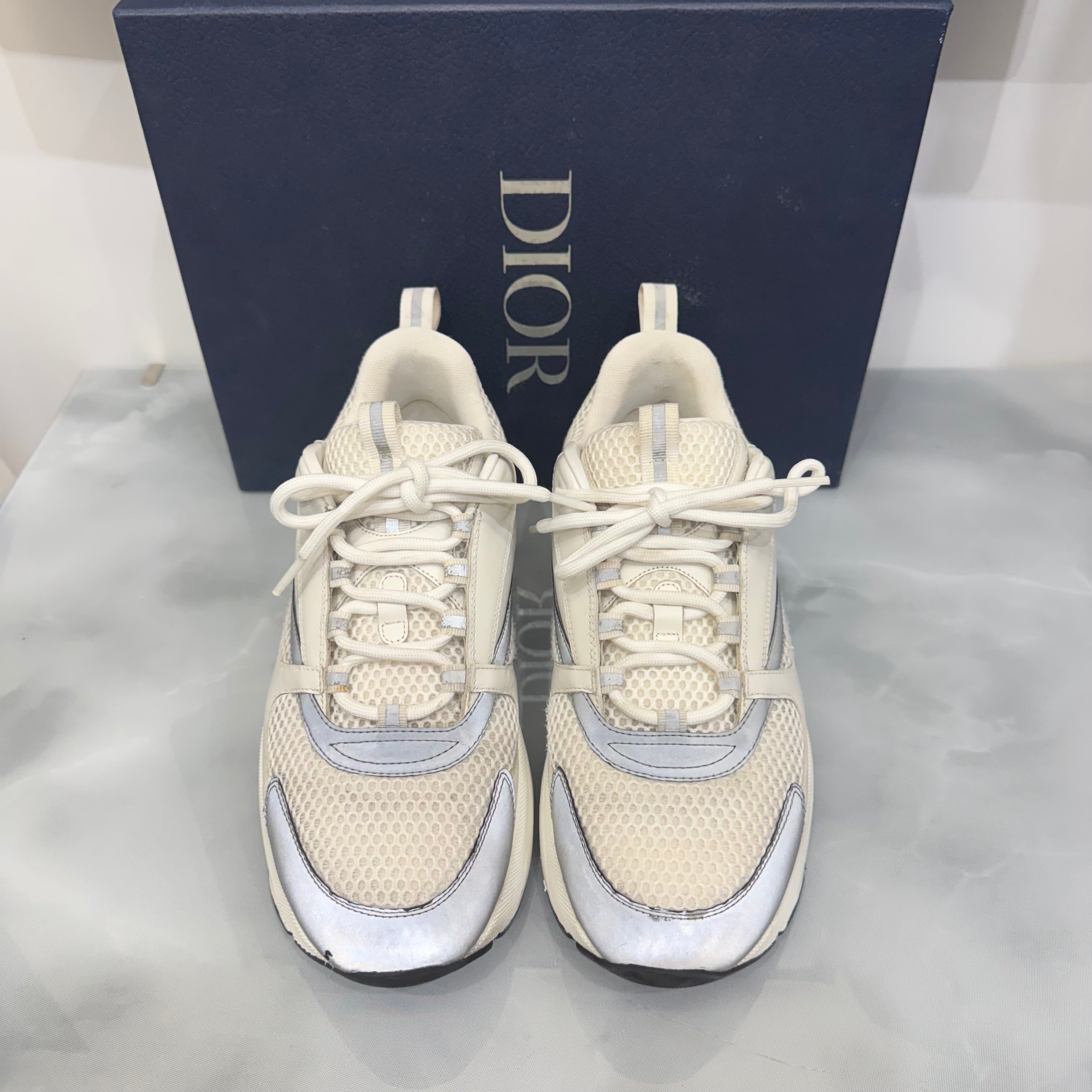 Dior B22 43