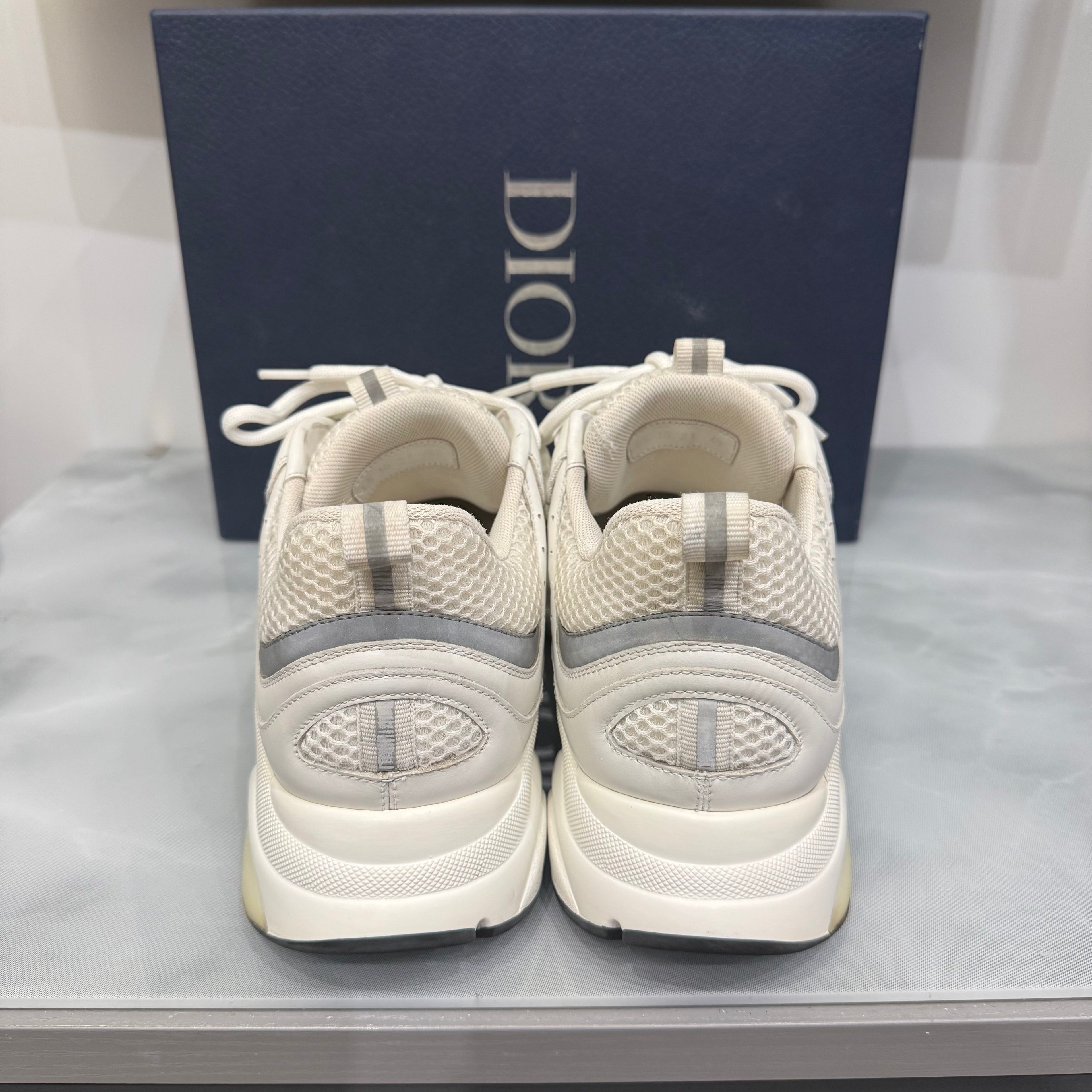 Dior B22 43