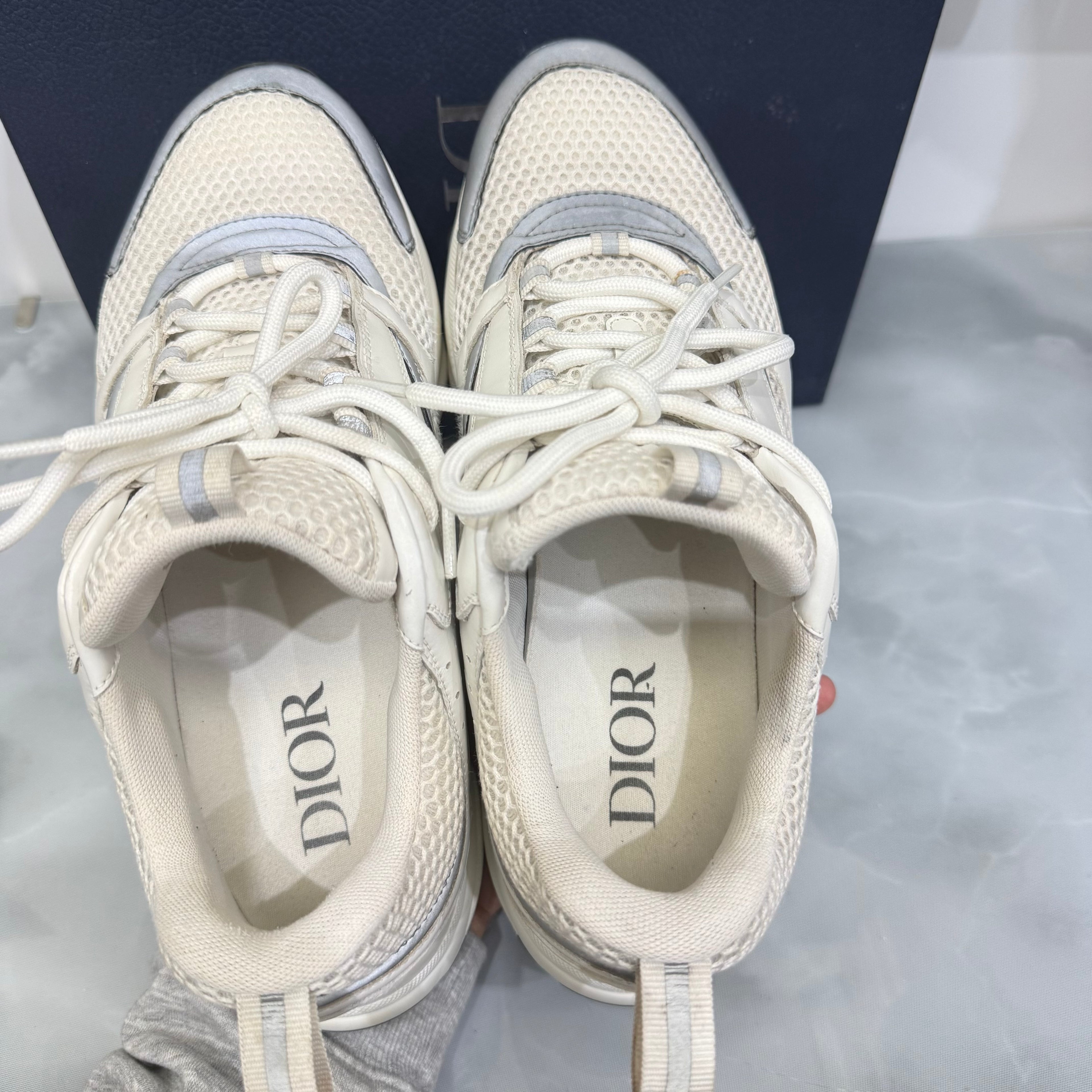 Dior B22 43
