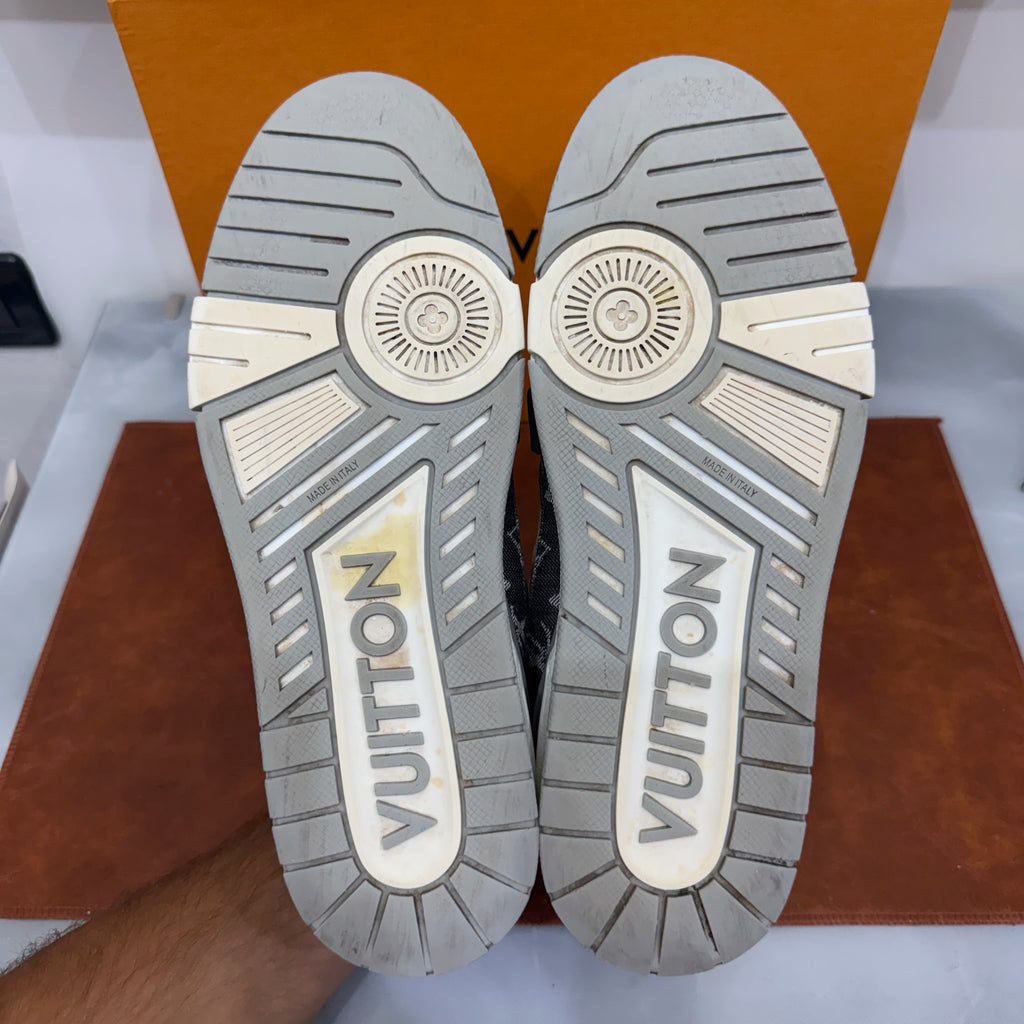 Louis Vuitton, Trainer, 41